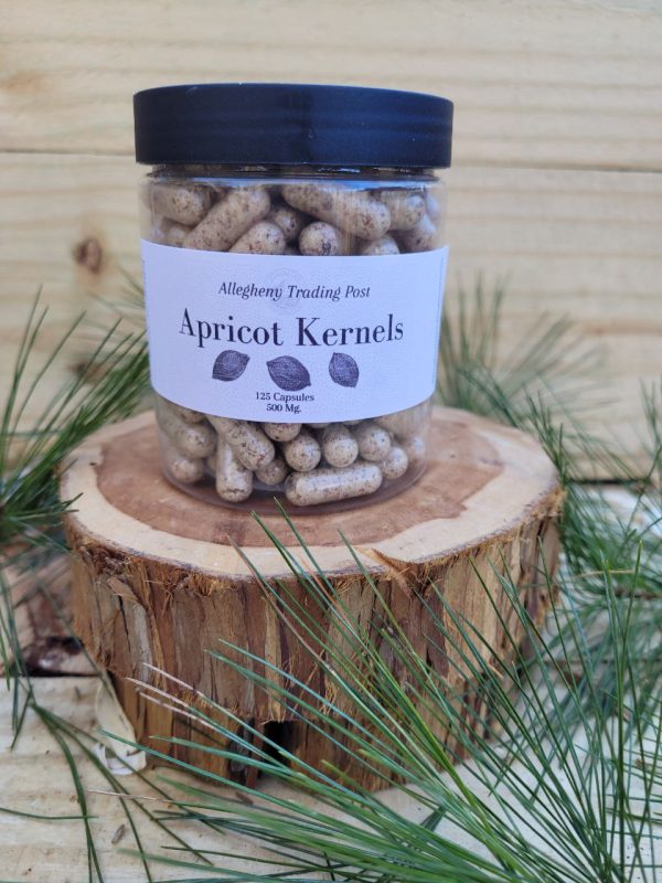 Apricot Kernels